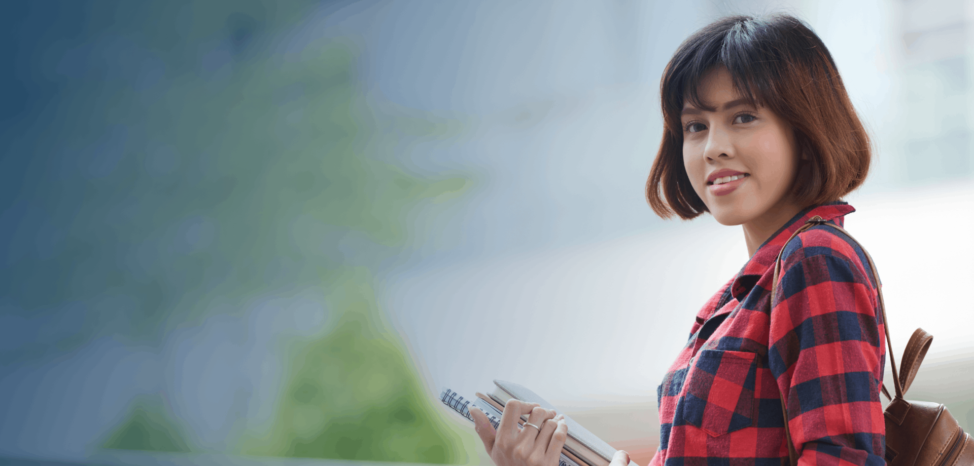 Slider images alternate text2