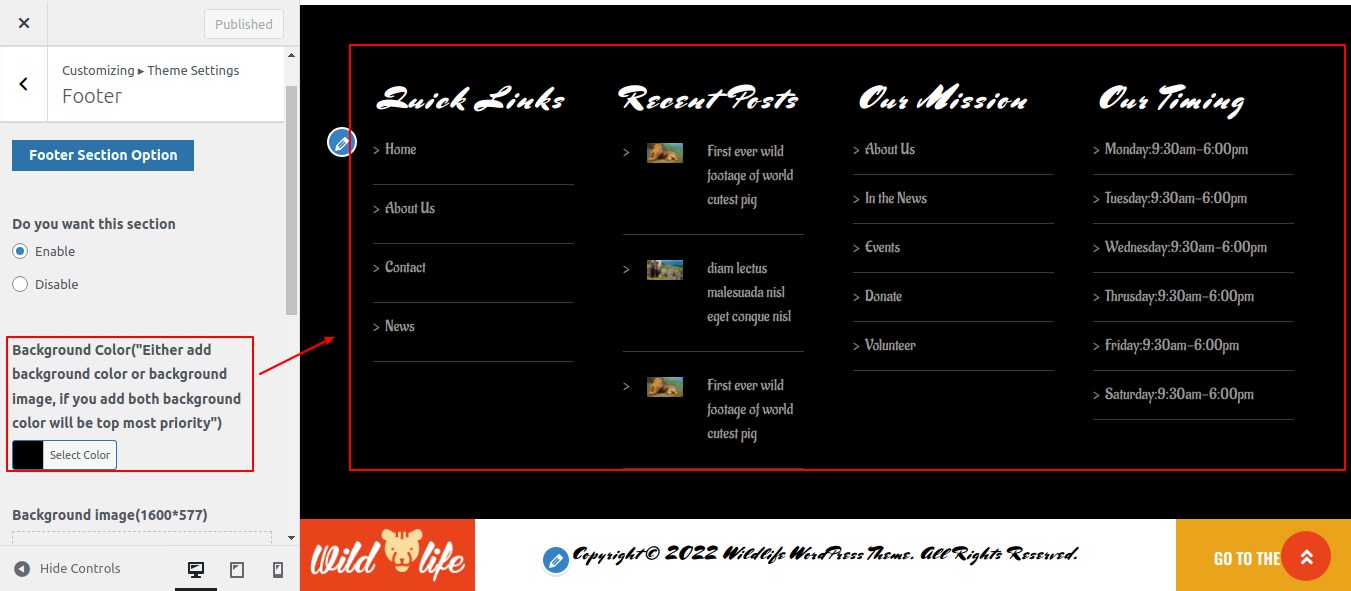 set Footer section