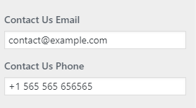 set Newsletter section