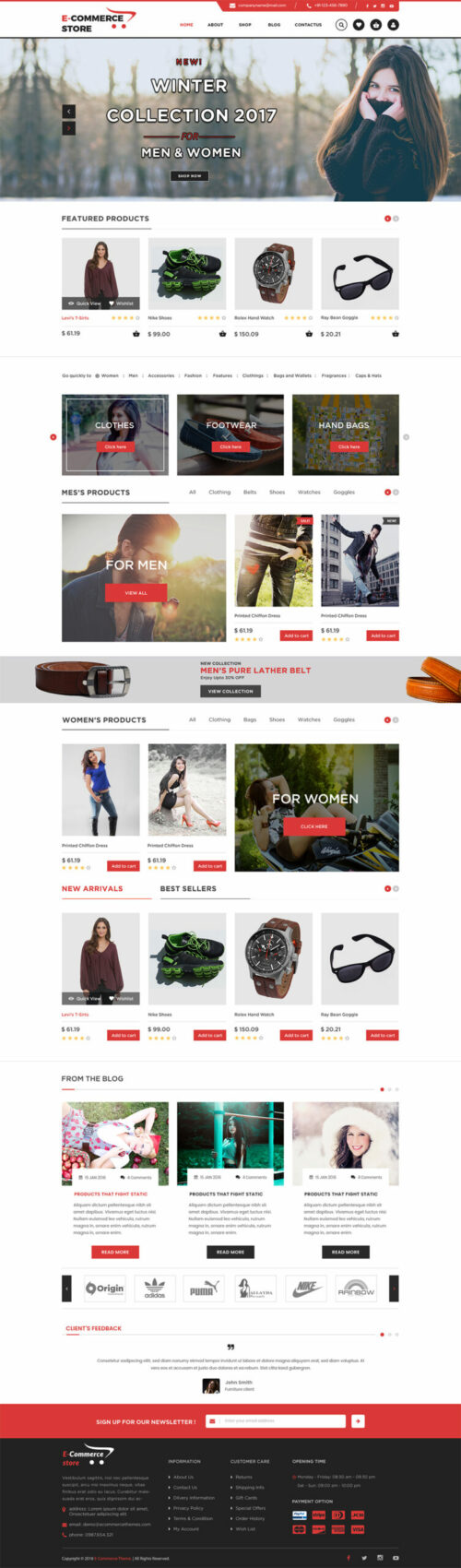 Ecommerce WordPress Theme