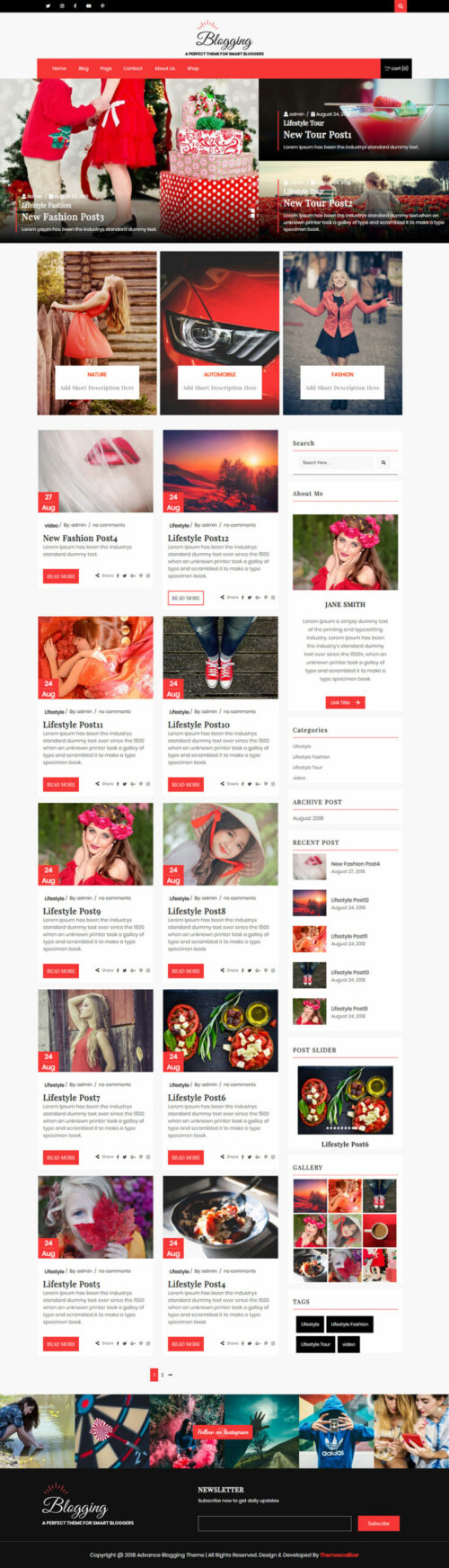 Blog WordPress Theme