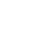 Alt Tag for quality icon