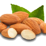 Fresh Dried Almond