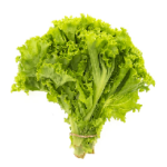 Organic Lettuce