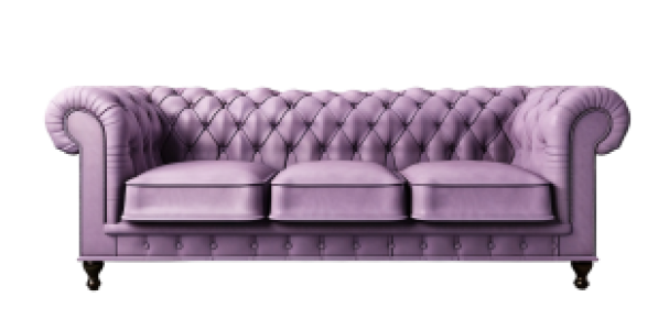 Sleeper Sofa 1